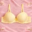 Push Up Bra